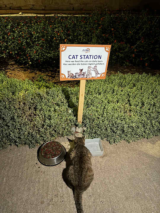 Sonstiges Anissa Beach & Village