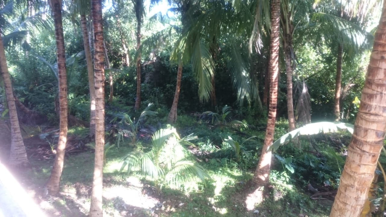 Ausblick Hotel Bentota Village