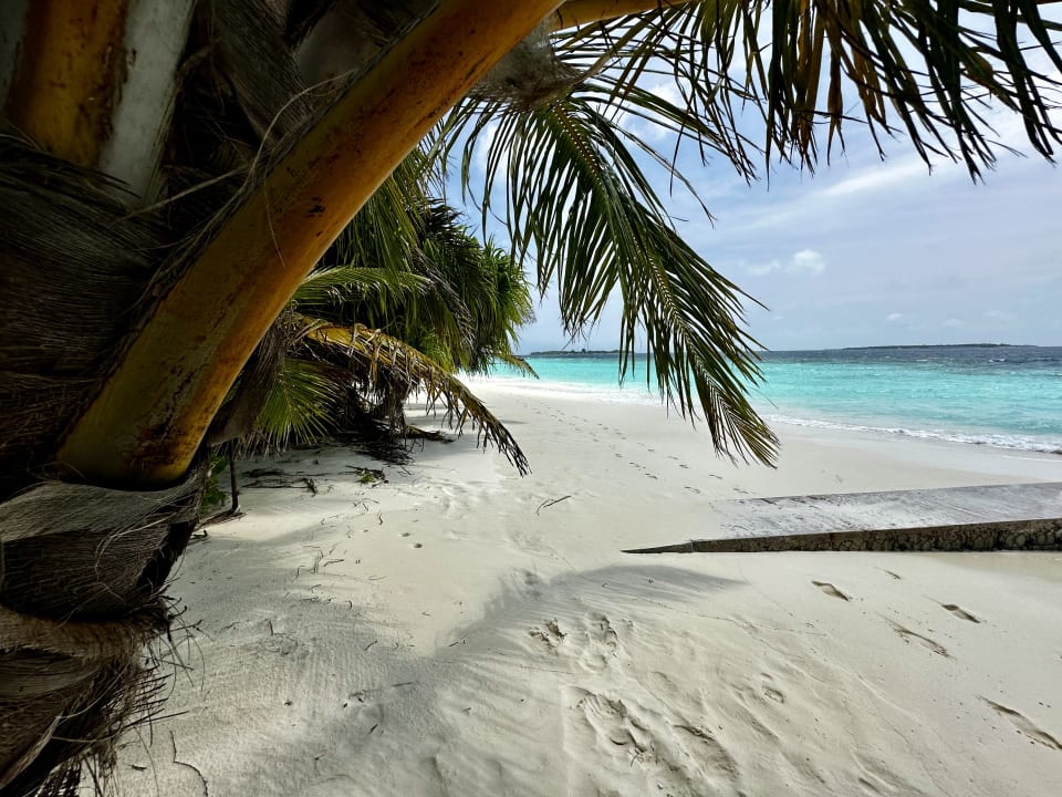 Strand Adaaran Select Meedhupparu Island Resort - Premium All Inclusive