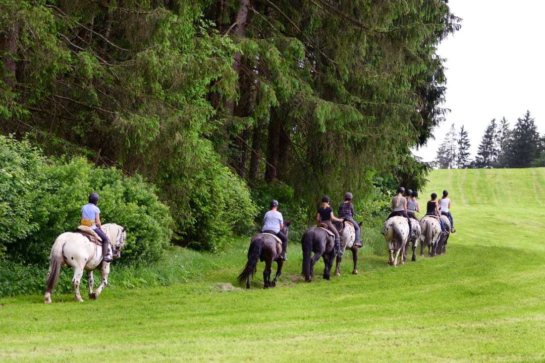Sport & Freizeit Tigerhill-Ranch-Norikerhof