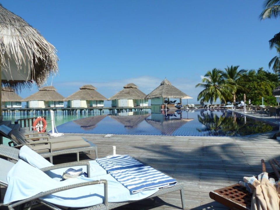 Jeder Wasserbungi hat eine reservierte Liege Ellaidhoo Maldives by Cinnamon