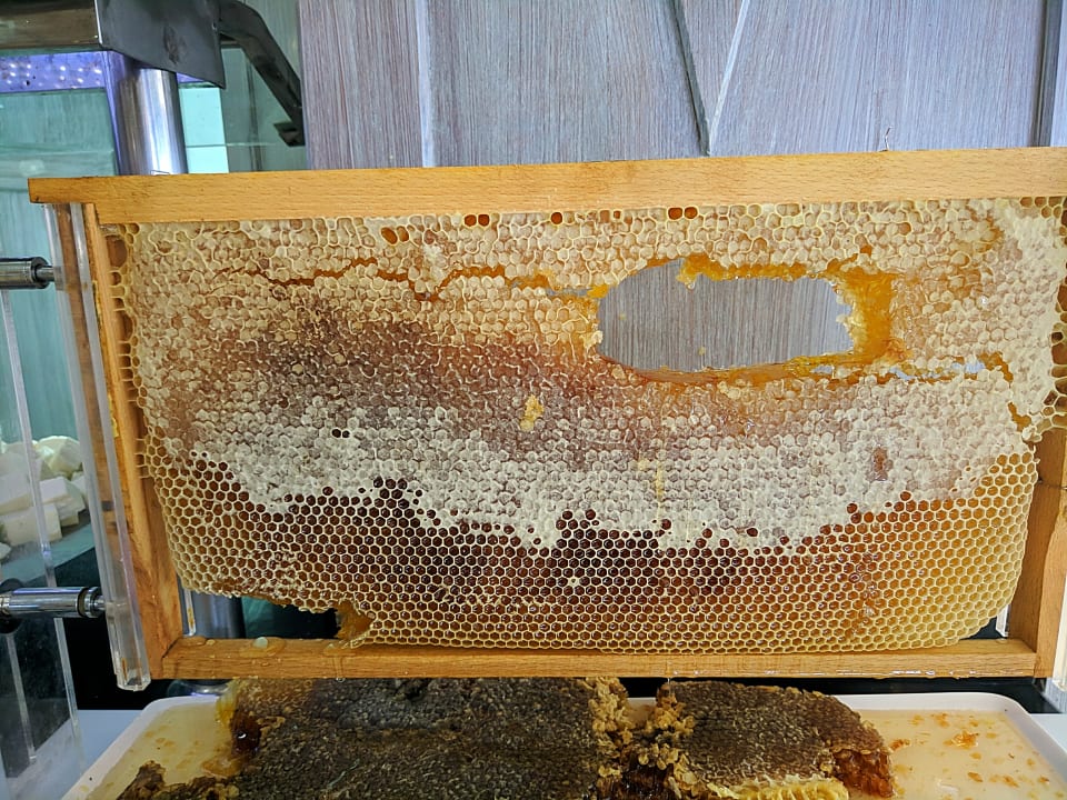 Gastro Bodrum Holiday Resort & Spa