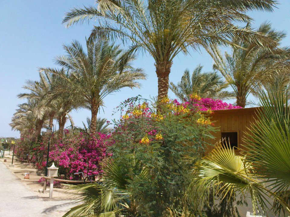 Wege zum Stand Brayka Bay Resort