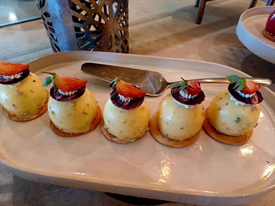 Gastro Acanthus Cennet Barut Collection