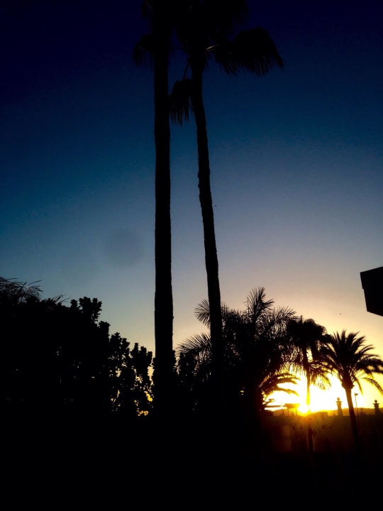 Garten Sunprime Atlantic View