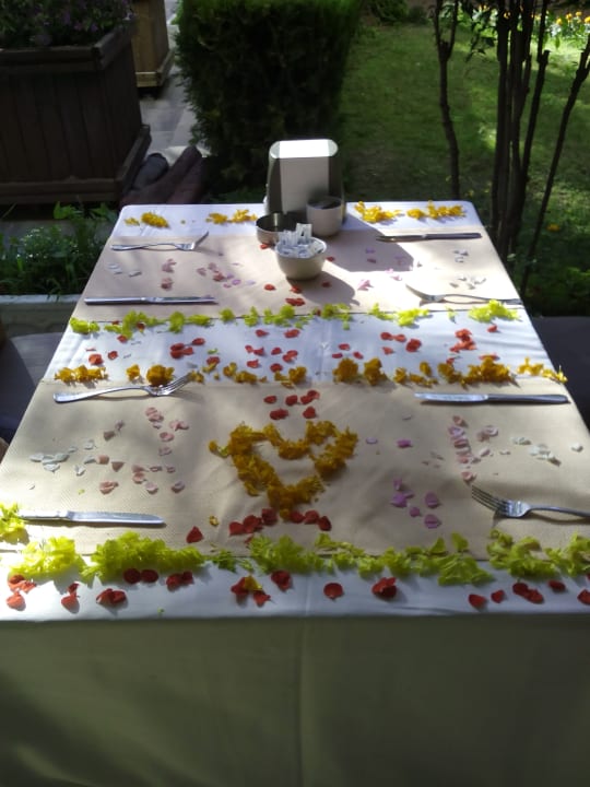 Restaurant Crystal Admiral Aqua Collection