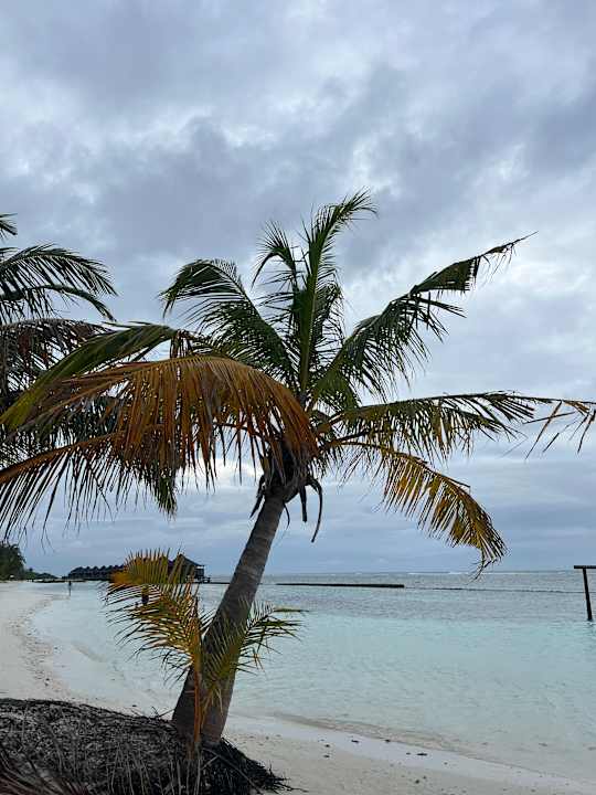 Strand Kuredu Island Resort & Spa
