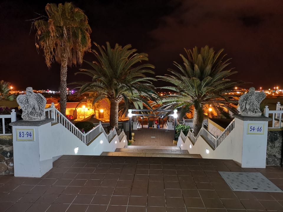 Ausblick MP Club Caleta Dorada