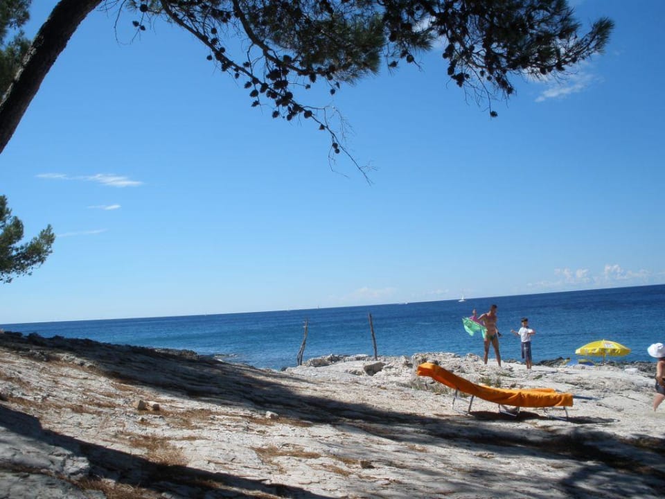 Liegeplatz Hotel Aurora