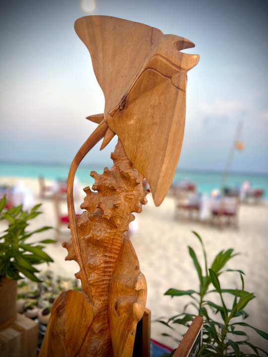 Gastro Kuredu Island Resort & Spa