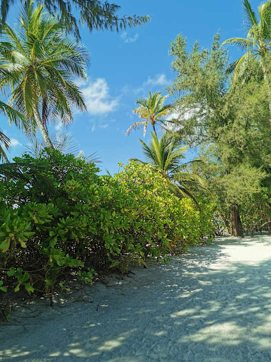 Gartenanlage Safari Island Maldives