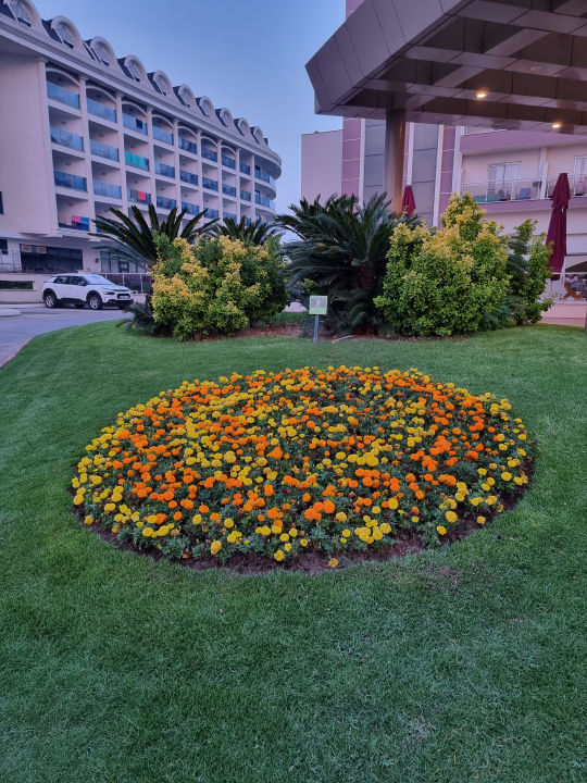 Außenansicht Saturn Palace Resort Hotel