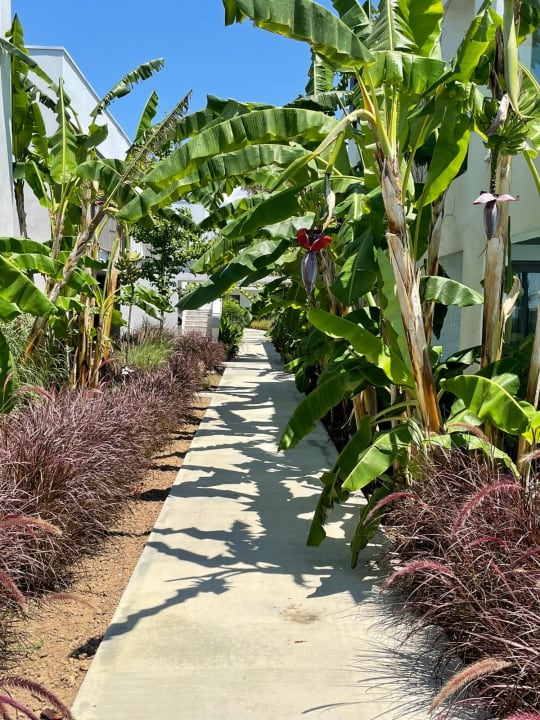 Gartenanlage Paloma Finesse