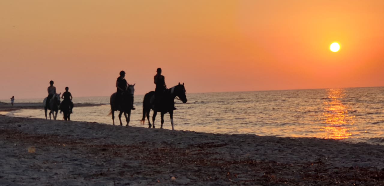 Strand Summer Village of Hippokrates - Adults only