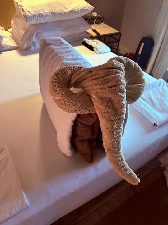 Zimmer Jaz Makadi Oasis Resort