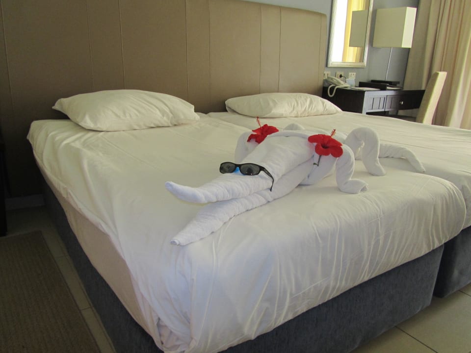 Krokodyl  JAZ Aquamarine Resort