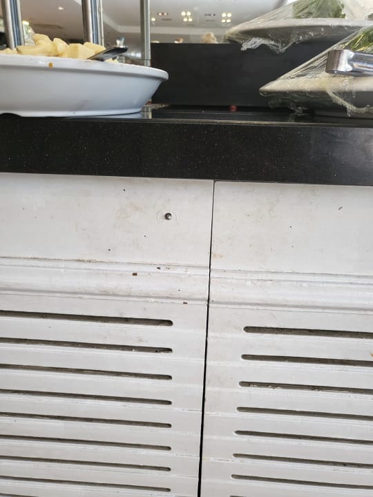 Gastro Well Palace Side