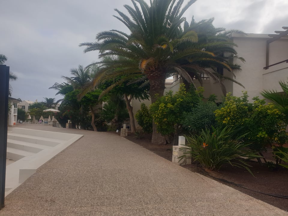 Gartenanlage Alua Suites Fuerteventura