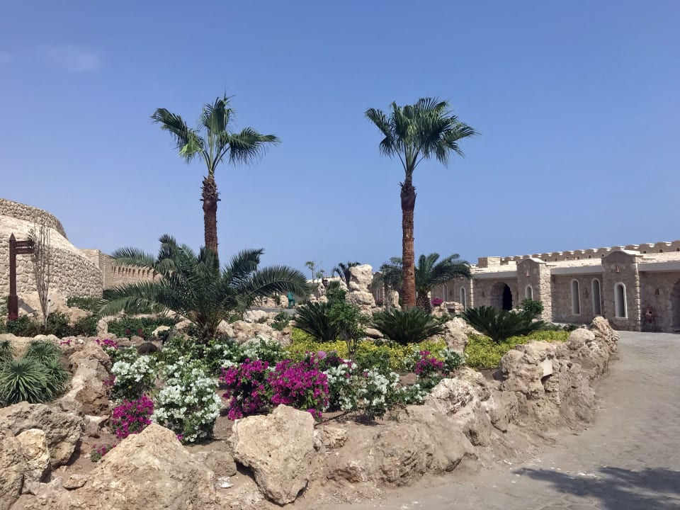 Gartenanlage Pickalbatros Citadel Resort