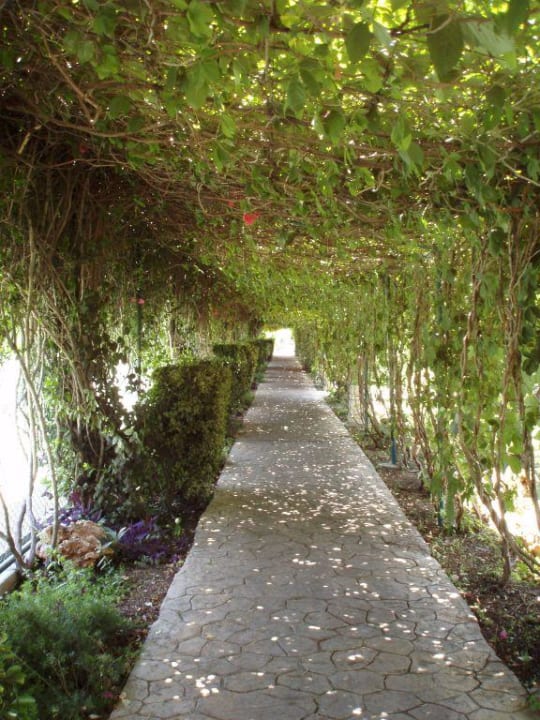 Gartenanlage Belconti Resort Hotel