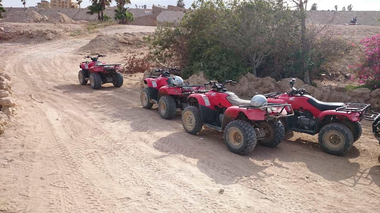 Квадры Pickalbatros Citadel Resort