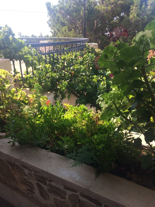 Sonstiges Aroma Creta Hotel Apartments & Spa