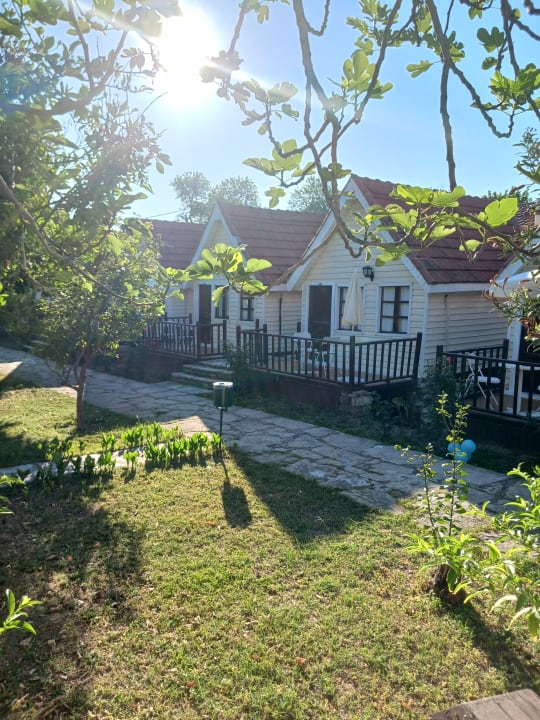 Gartenanlage Clover Magic Nova Beach
