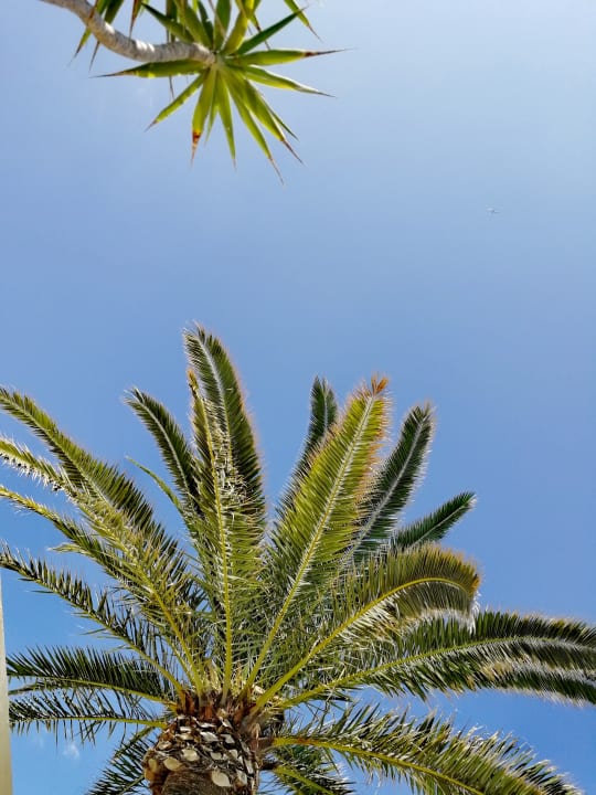Ausblick Caprice Janeiro Hotel & Spa