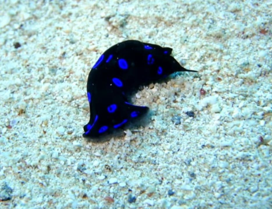 Sonstiges Brayka Bay Resort