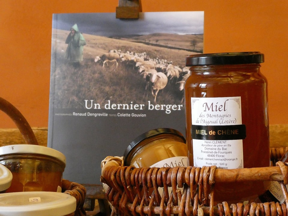 Gastro Hotel Logis le Mont Aigoual