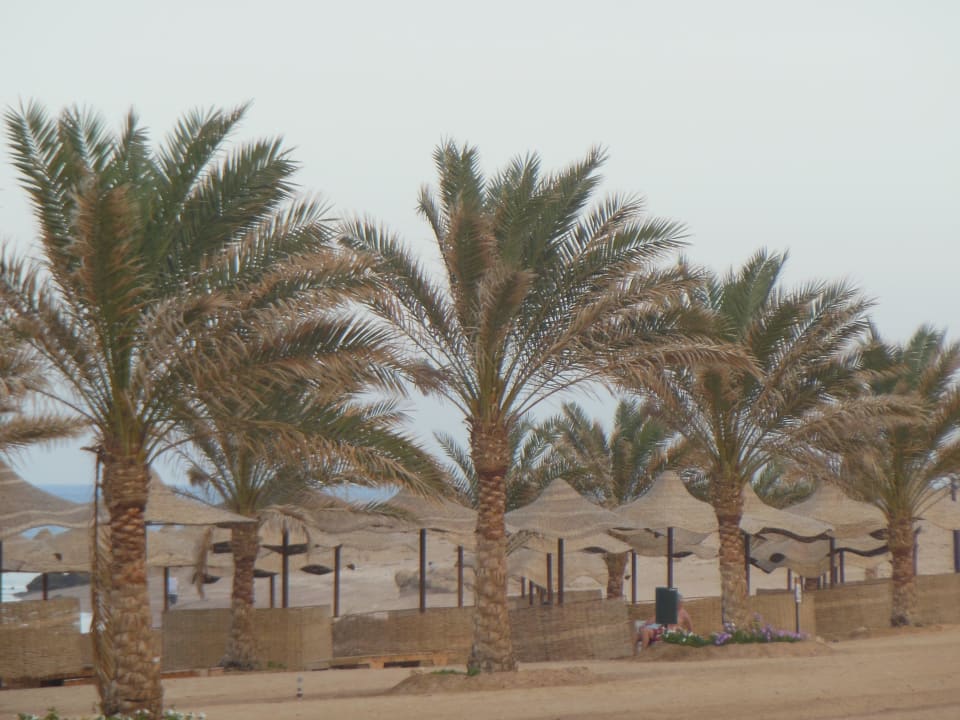 In der Früh Three Corners Sea Beach Resort