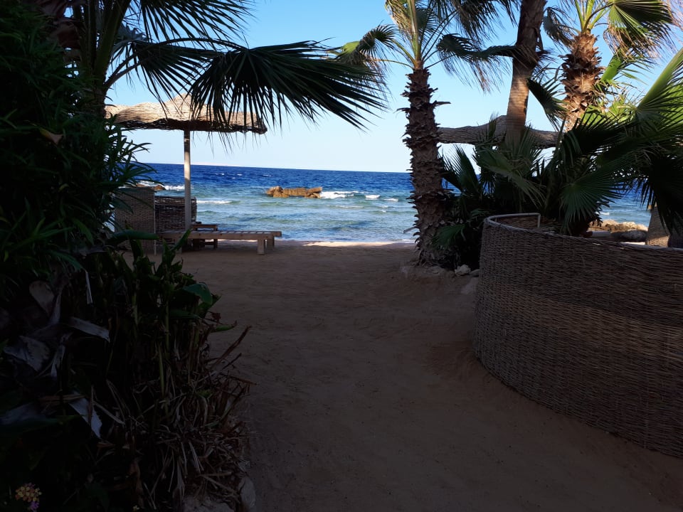 Strand Pickalbatros Citadel Resort