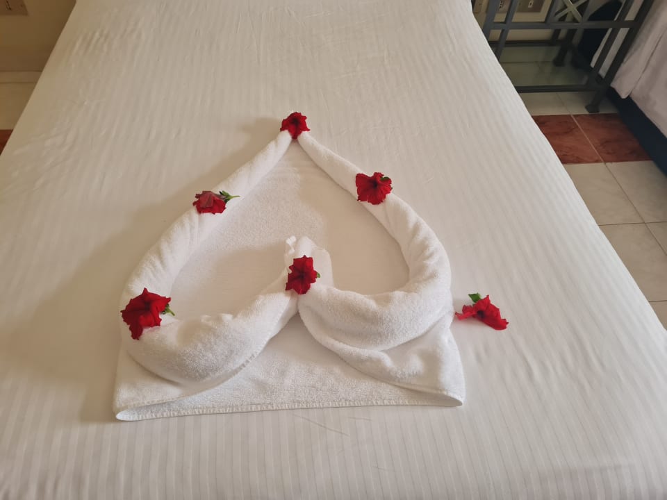 Zimmer Club Paradisio El Gouna, Red Sea