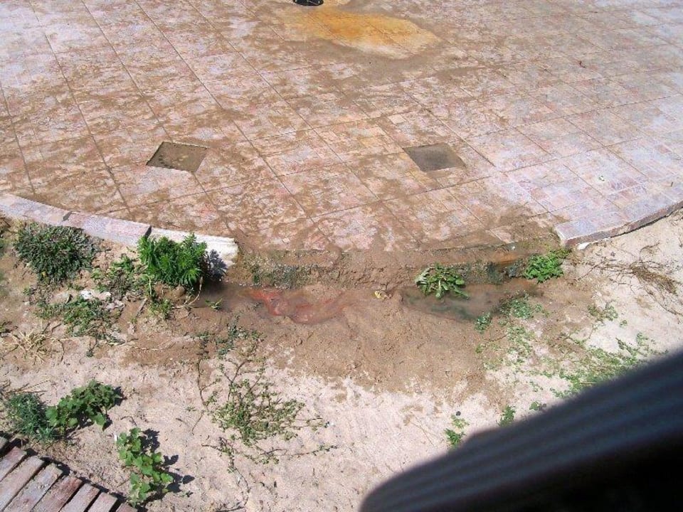 Duschablauf verstopft Hotel Borjana