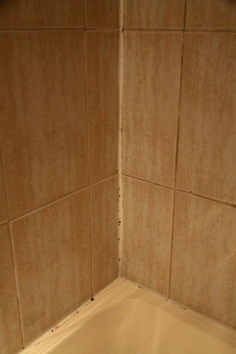 Schimmel Hotel Berjaya Eden Park