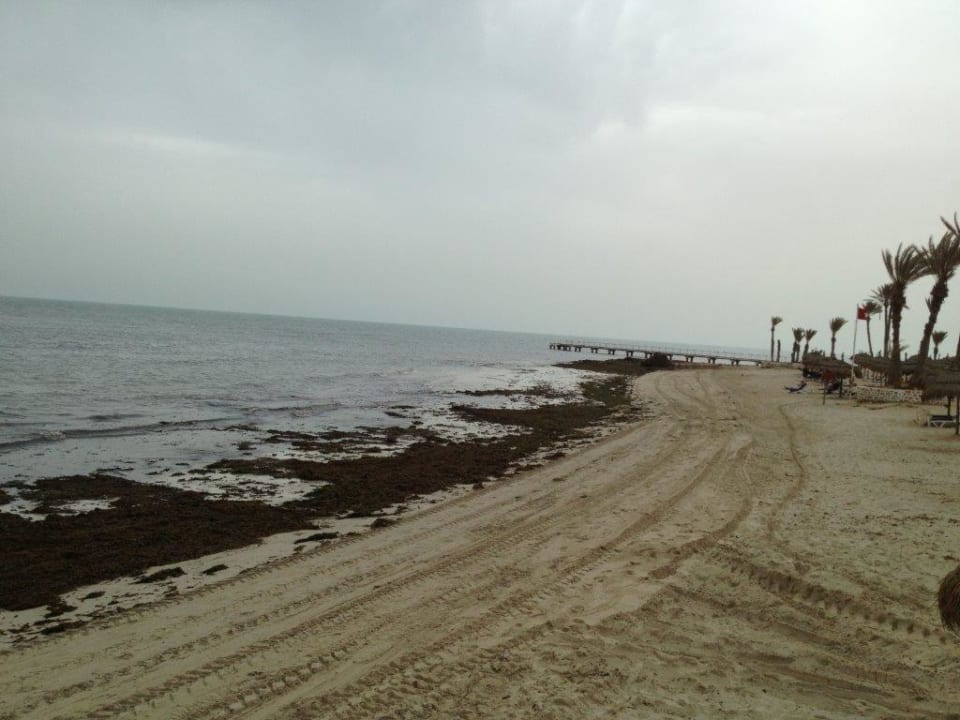 Ekelhaft Hotel El Mouradi Djerba Menzel