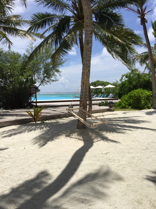 Strand Summer Island Maldives