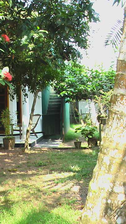 Außenansicht Sunshine Guesthouse