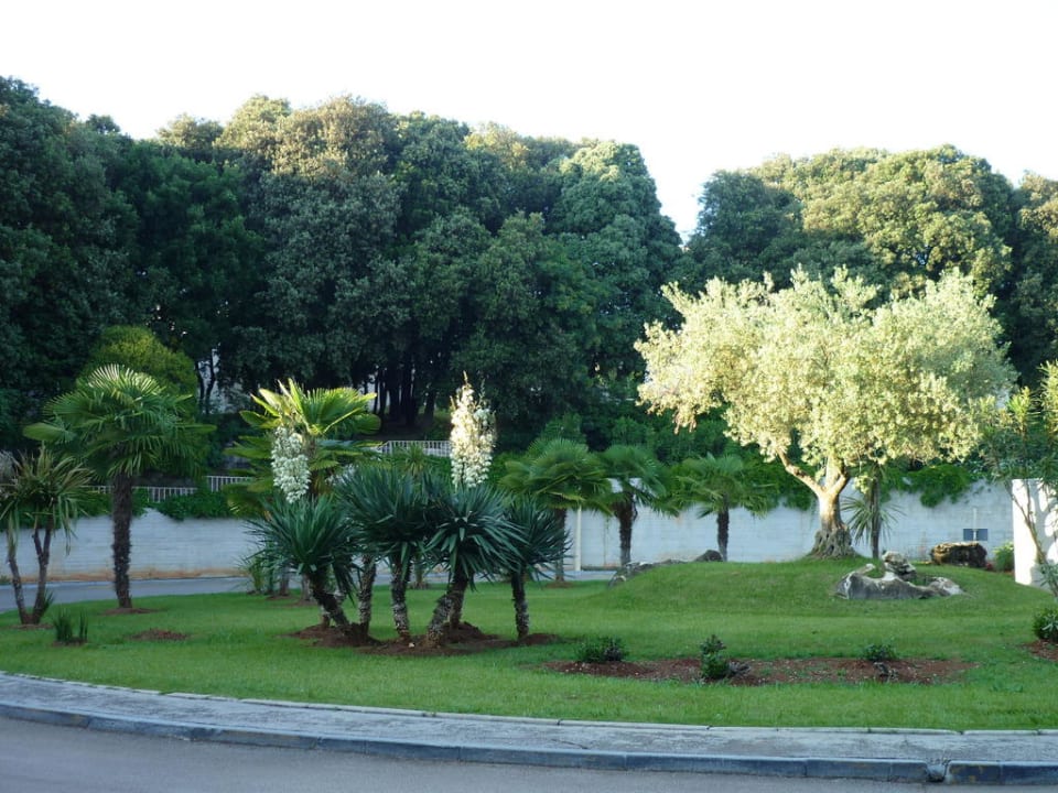 Blumen Valamar Parentino Hotel