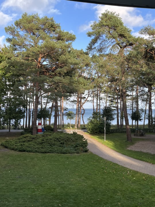 Ausblick IFA Rügen Hotel & Ferienpark
