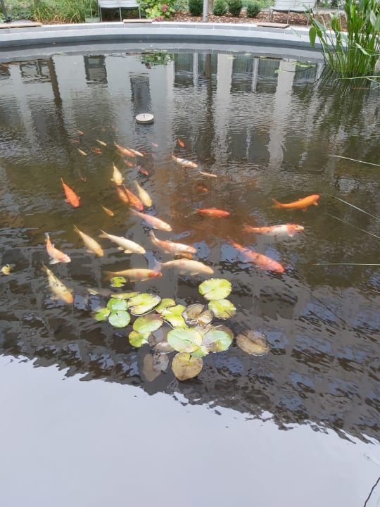 Ausblick Vienna House Easy by Wyndham Leipzig