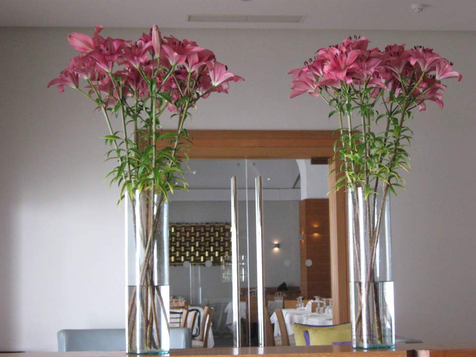 Mit Blick ins Restaurant The Orangers Beach Resort and Bungalows