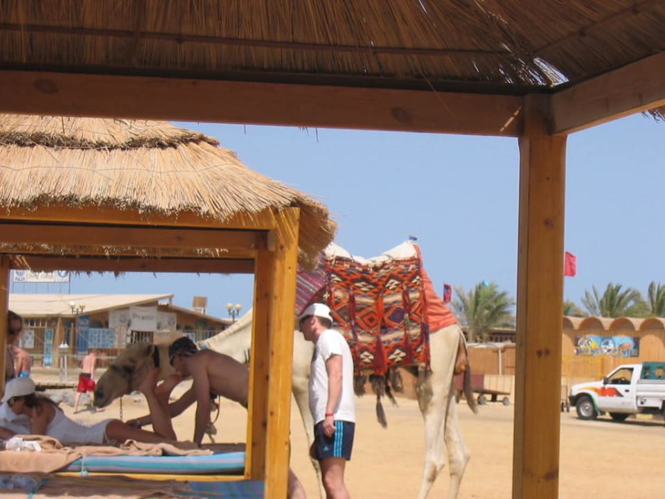 Am Strand Pickalbatros Alf Leila Wa Leila Resort - Neverland Hurghada