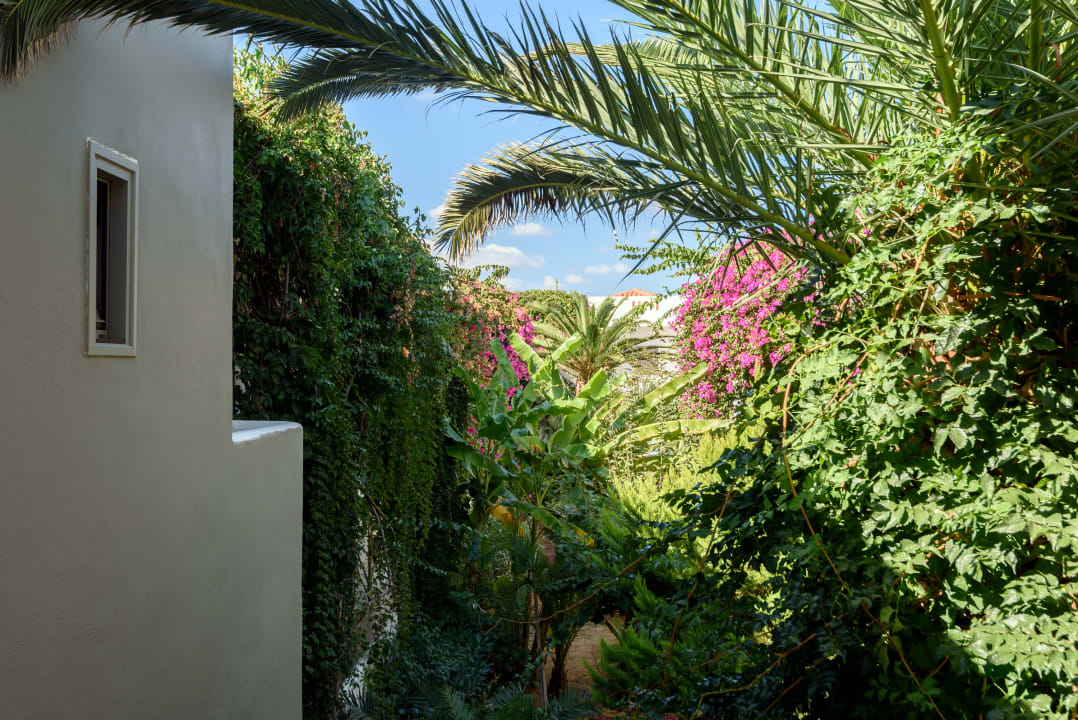 Ausblick Hotel Marinos Beach