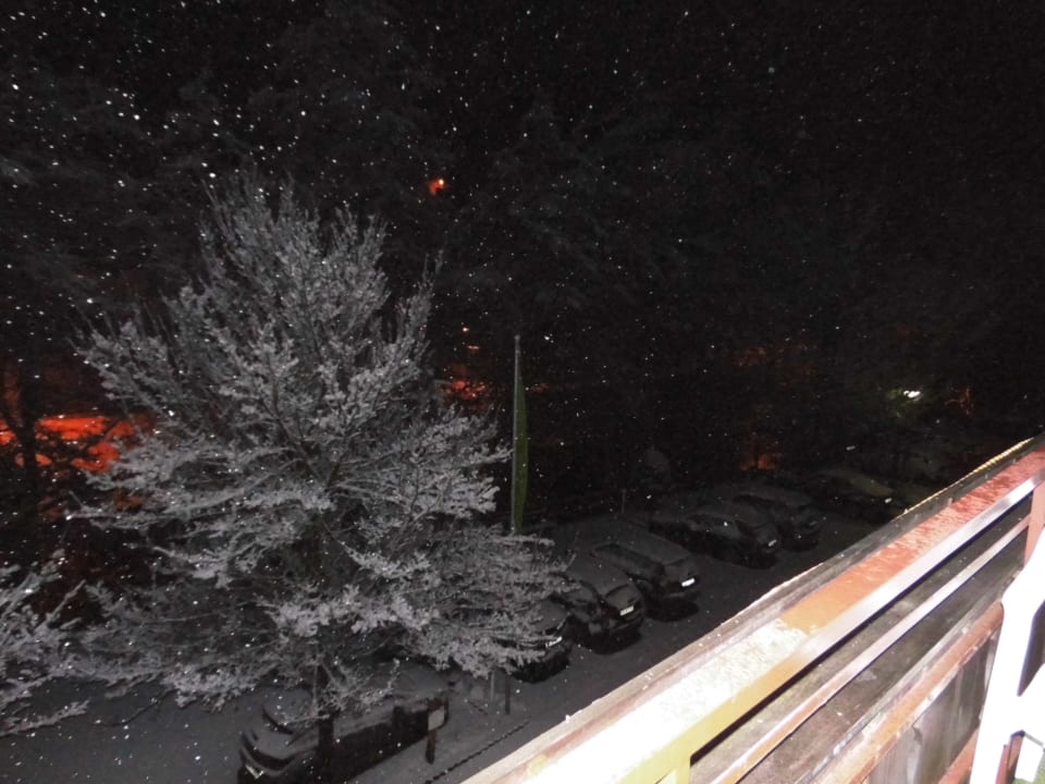 Neuschnee Flair Hotel Sonnenhof