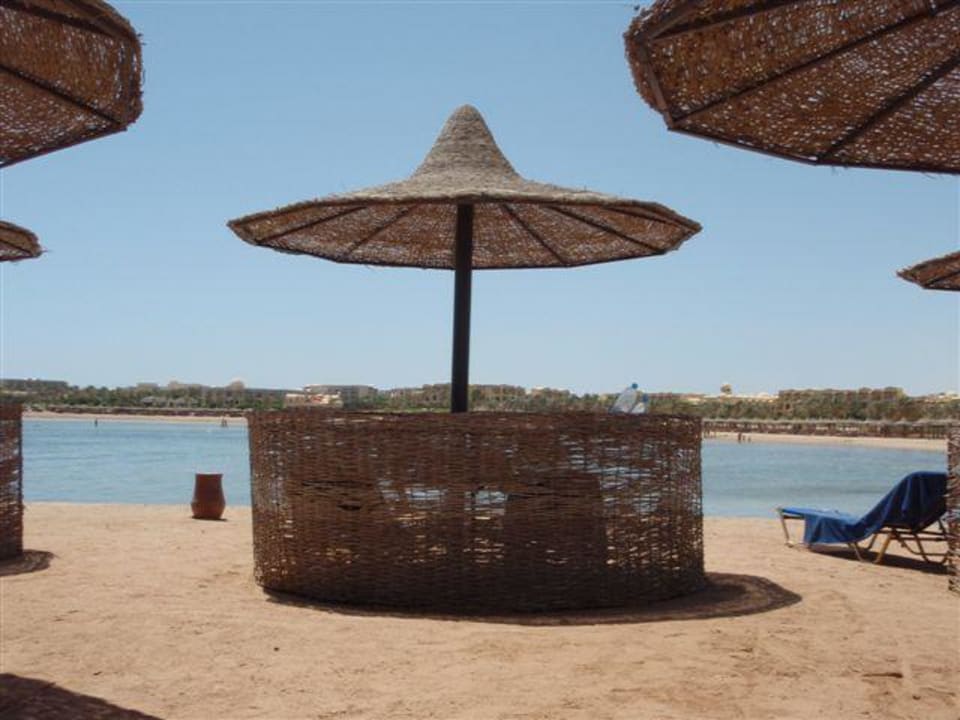 Strandliegen Steigenberger Coraya Beach - Adults only