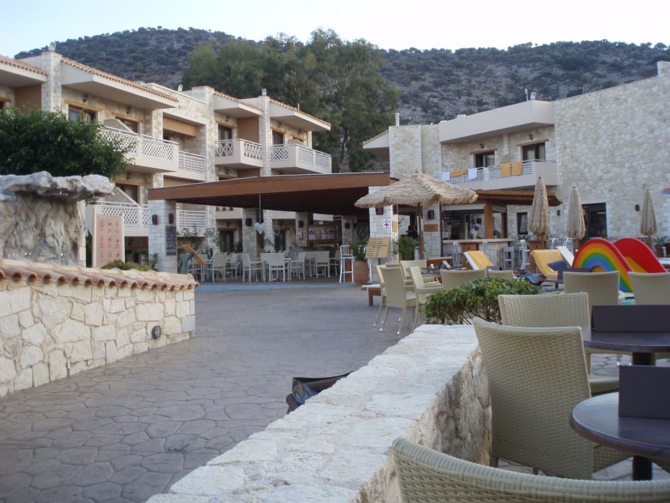 Poolbar Cactus Royal