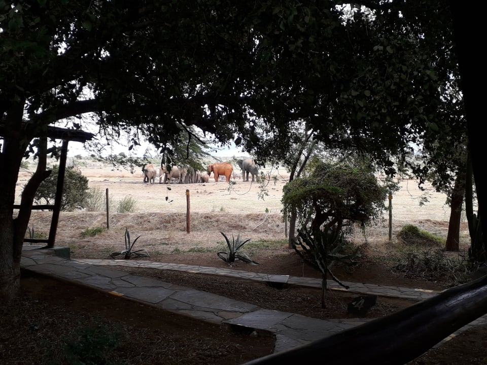 Ausblick Sentrim Tsavo Lodge