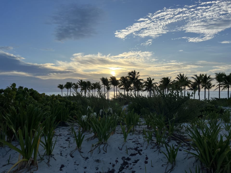 Strand Hotel Riu Dunamar