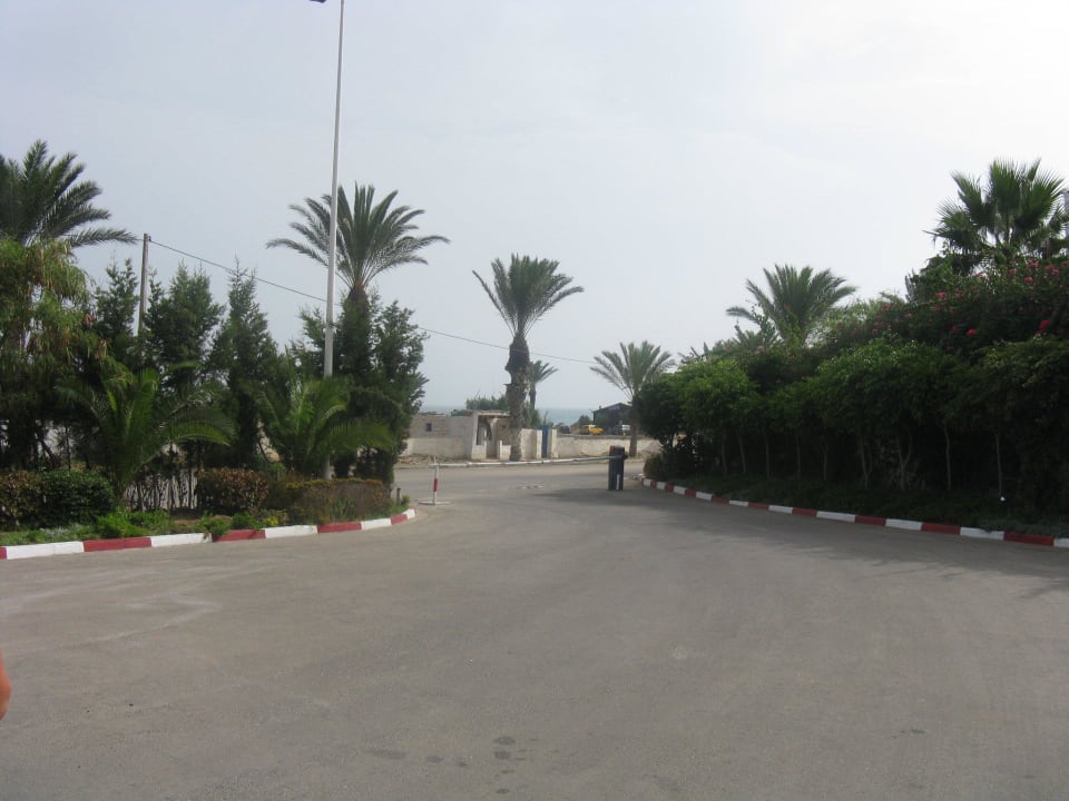 Wyjazd Hotel Thalassa Mahdia